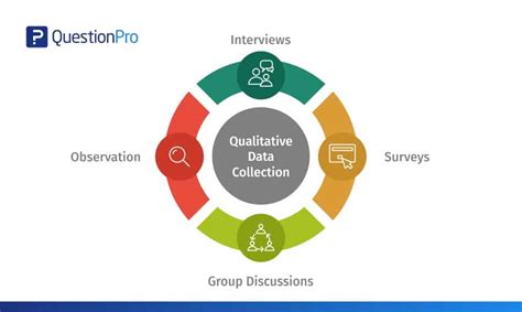  Focusing on Qualitative Data: A Practical Guide -  a Treasure Chest of Ethnographic Insights and Methodological Brilliance!