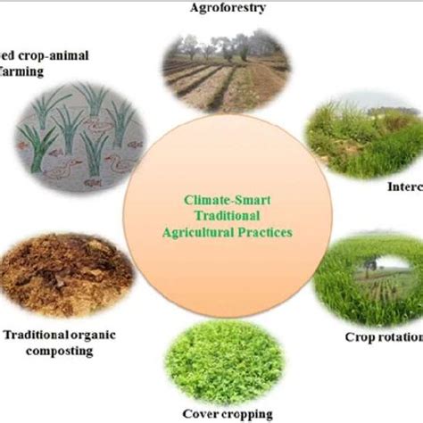  Harnessing the Power of Nature: Traditional Farming Practices for Sustainable Agriculture in Ethiopia