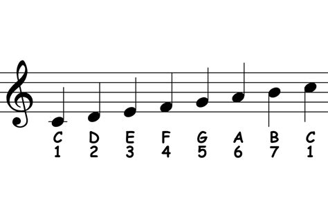 How Many Notes Are There in a Musical Scale, and Why Do Elephants Prefer the Blues?