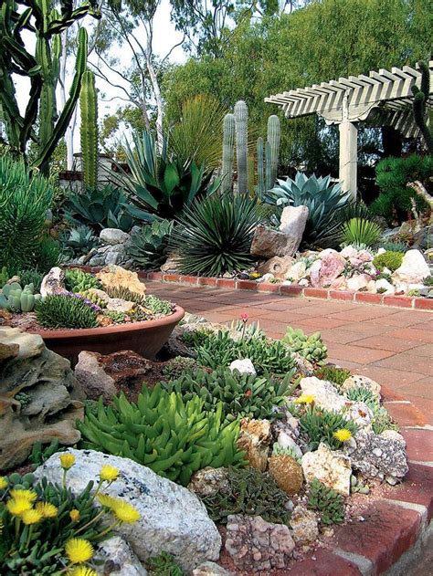  Xeriscaping Your Life: A Journey Through Brazil's Dry Gardens